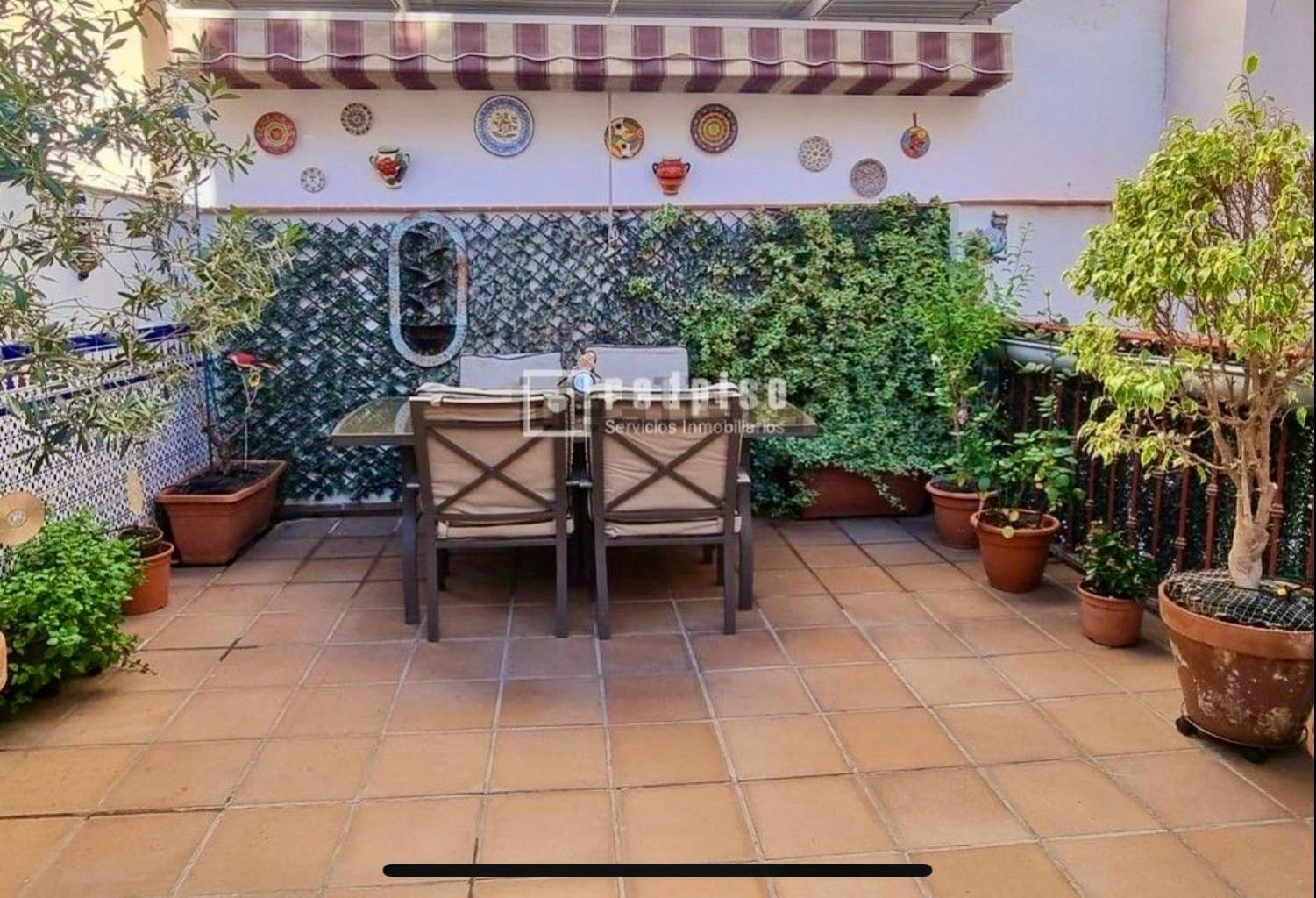 Maravilloso Apartamento Centrico De 70M2, Jardin Propio 40M2 Con Piscina Para Ninos Y Parking Opcional Μάλαγα Εξωτερικό φωτογραφία